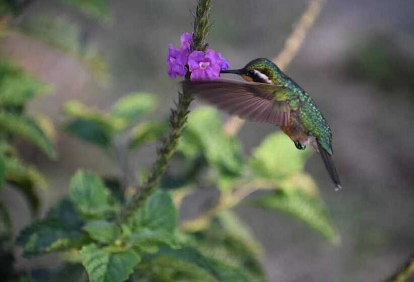 호텔 Wildlife Paradise