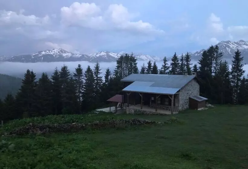 ペンション Tanevit Dag Evi