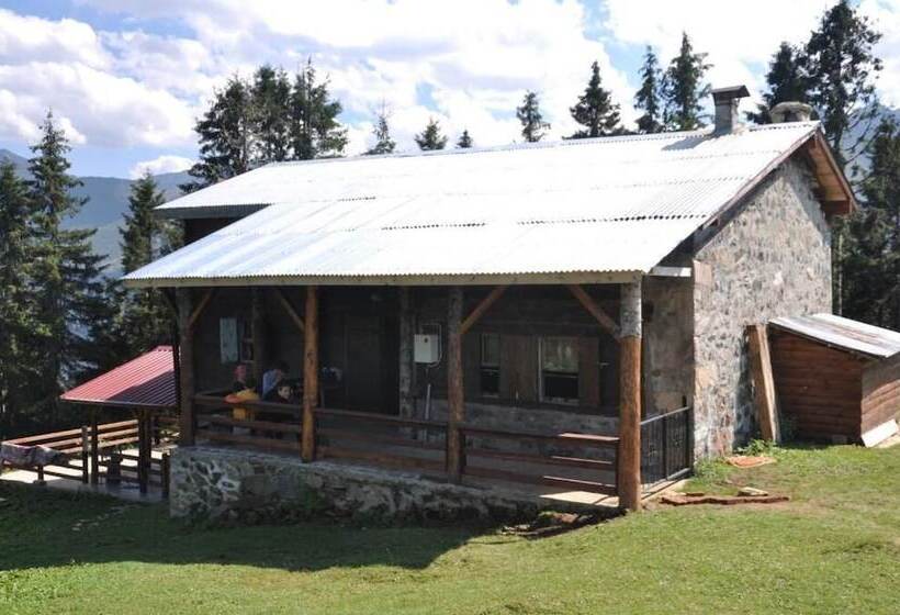 بنسيون Tanevit Dag Evi