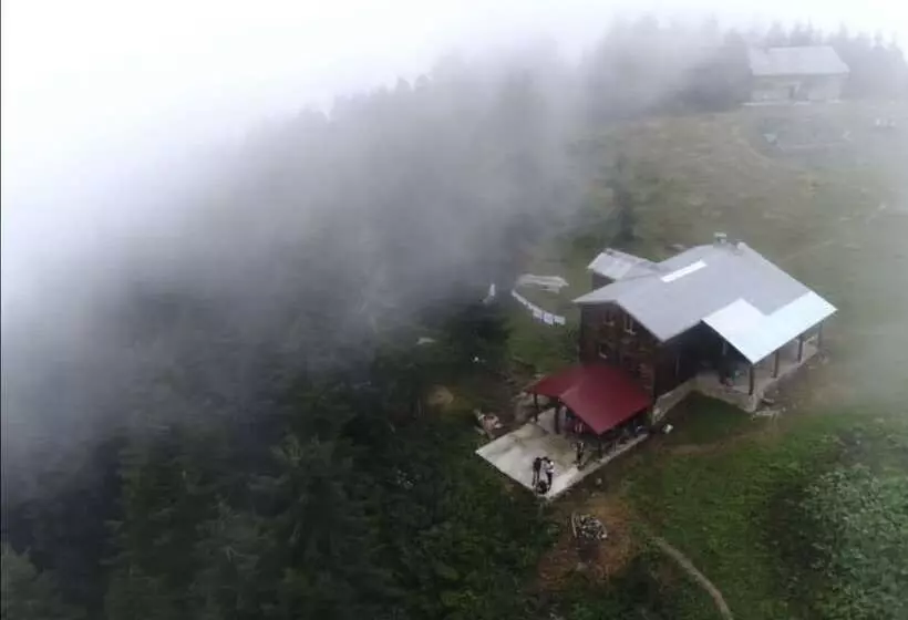 ペンション Tanevit Dag Evi