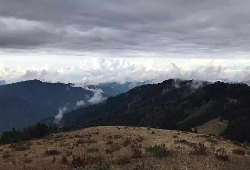 ペンション Tanevit Dag Evi