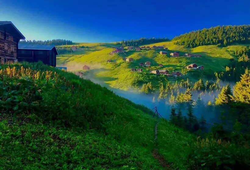 ペンション Tanevit Dag Evi