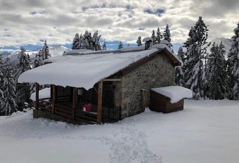 بنسيون Tanevit Dag Evi