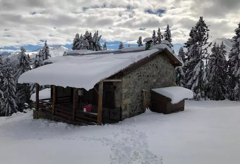 ペンション Tanevit Dag Evi