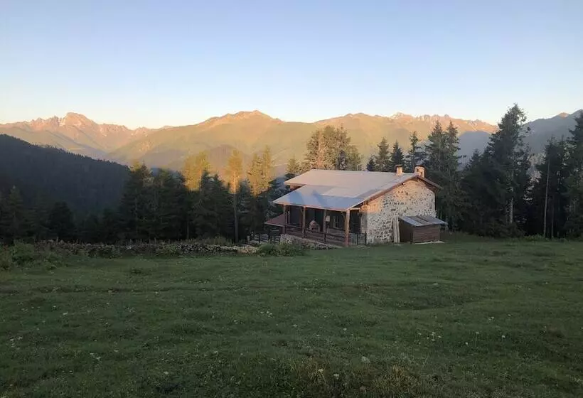 ペンション Tanevit Dag Evi