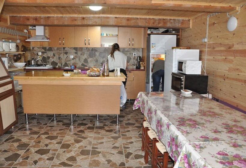 بنسيون Tanevit Dag Evi