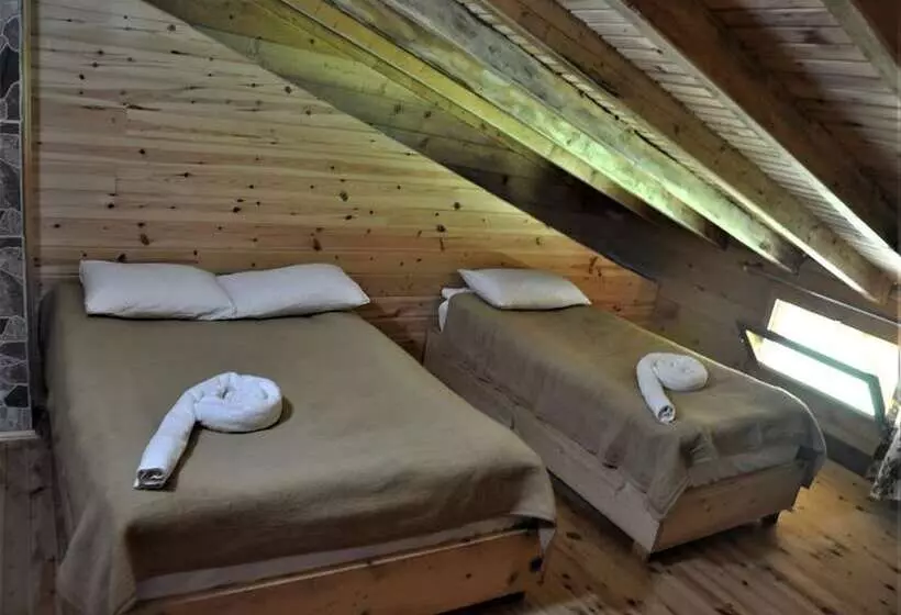 ペンション Tanevit Dag Evi