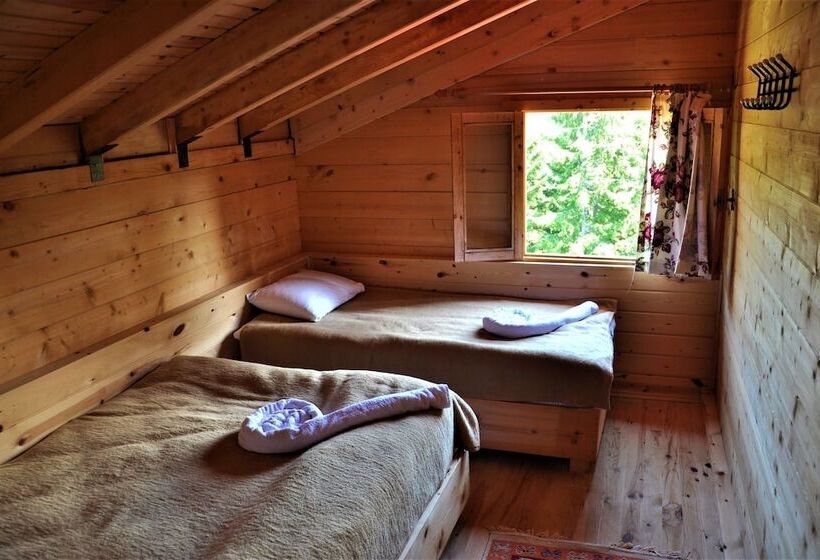 بنسيون Tanevit Dag Evi