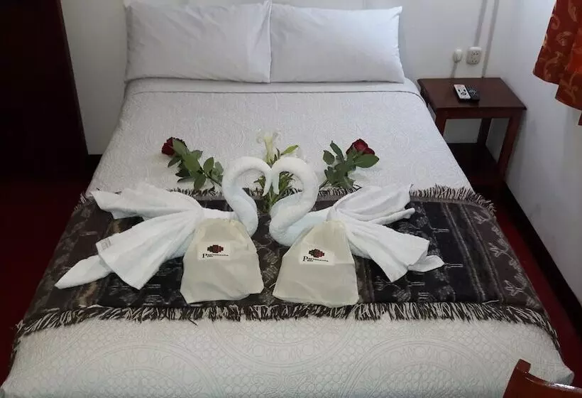 Peru Coca B&b Machupicchu