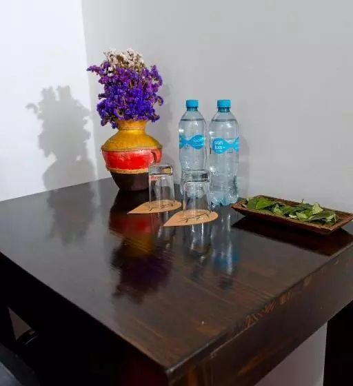 Peru Coca B&b Machupicchu