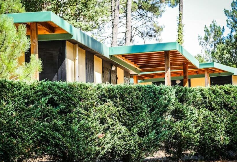 리조트 Vacances Passion   Leon Les Genets