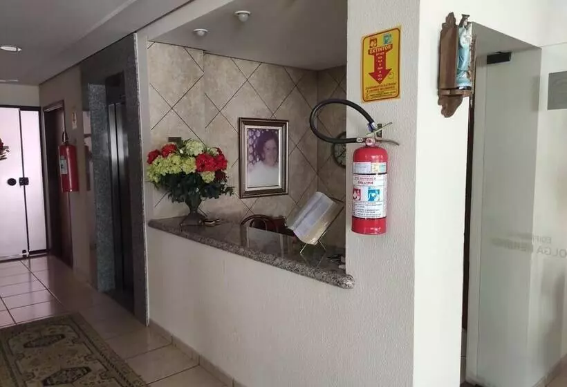 Flat Olga Kehdi