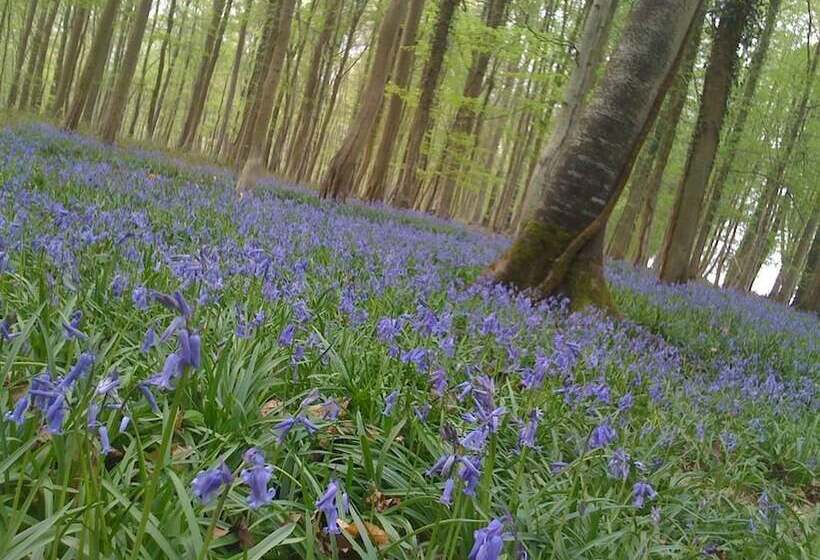 Hotel Camping Saint Paul