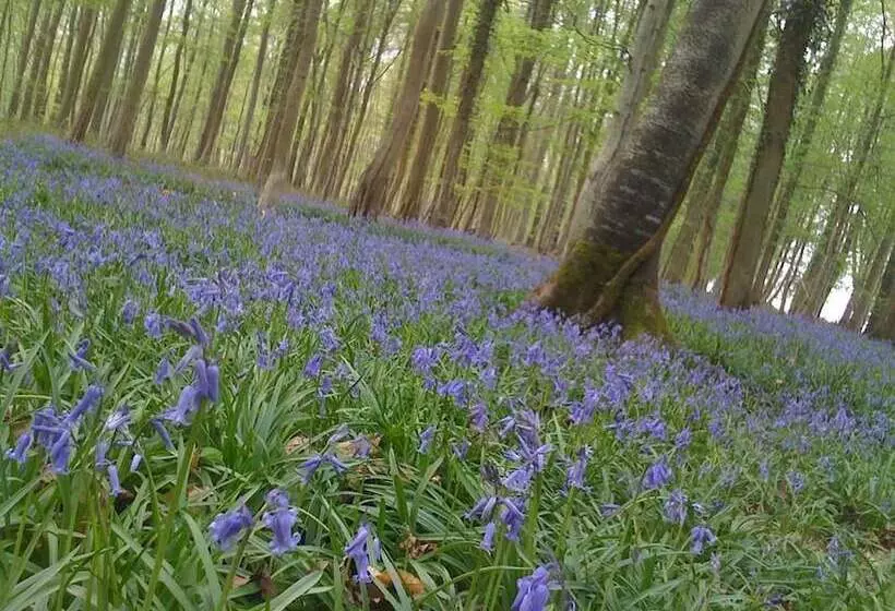 ホテル Camping Saint Paul