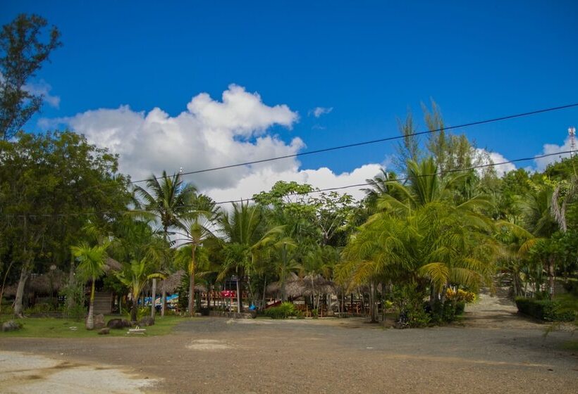 בית מלון כפרי Colinas Del Rey