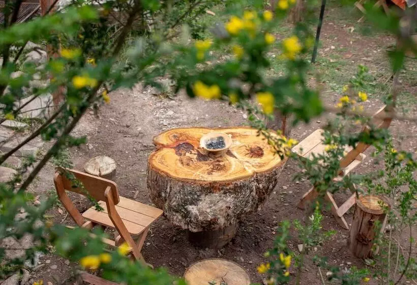 هتل Ecolodge Las Cabañas En Urubamba