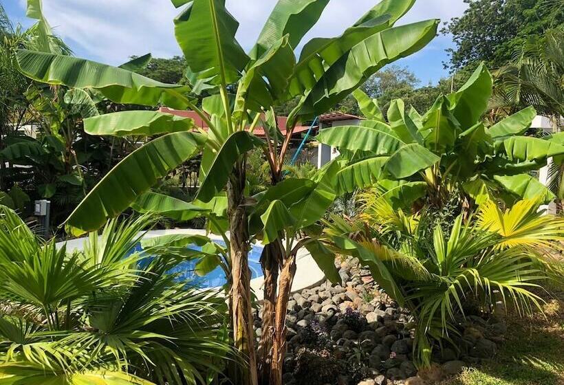 هتل Good Life Lodge