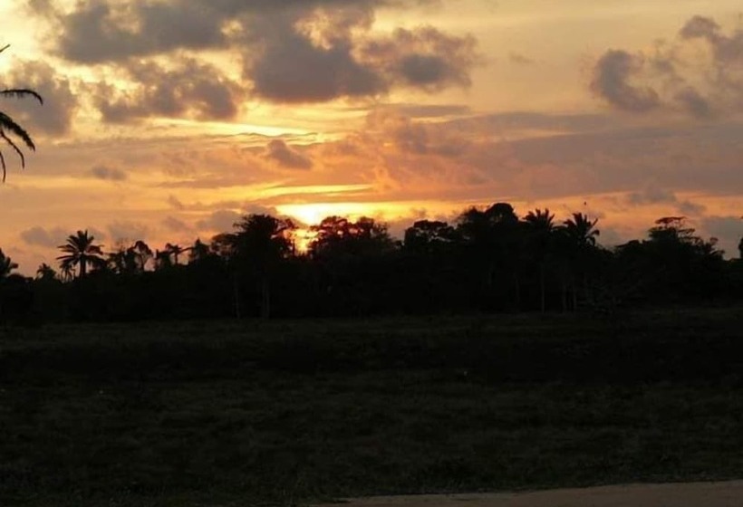 酒店 Sul Americano