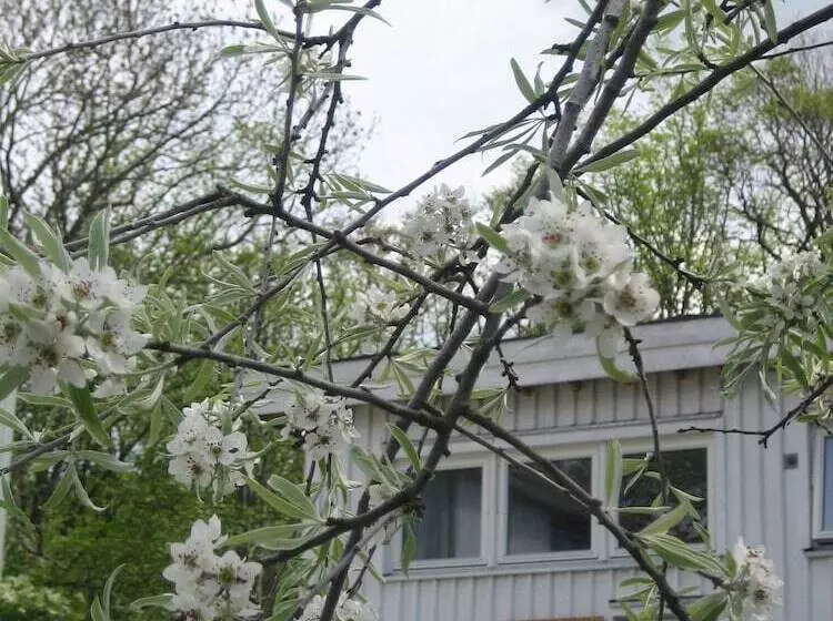 Nösundsgården Hotel & Hostel