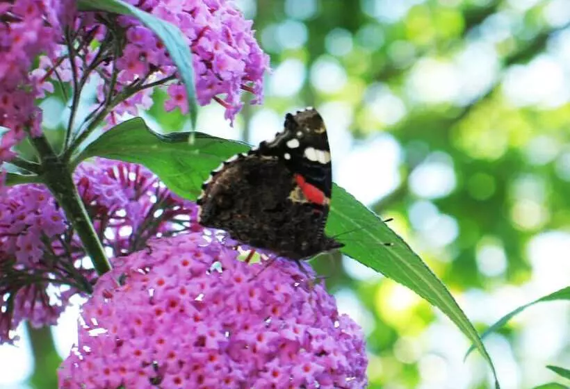 Nösundsgården Hotel & Hostel