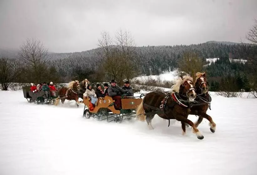 ペンション Bayerische Gastwirtschaft Dimpfl Stadl