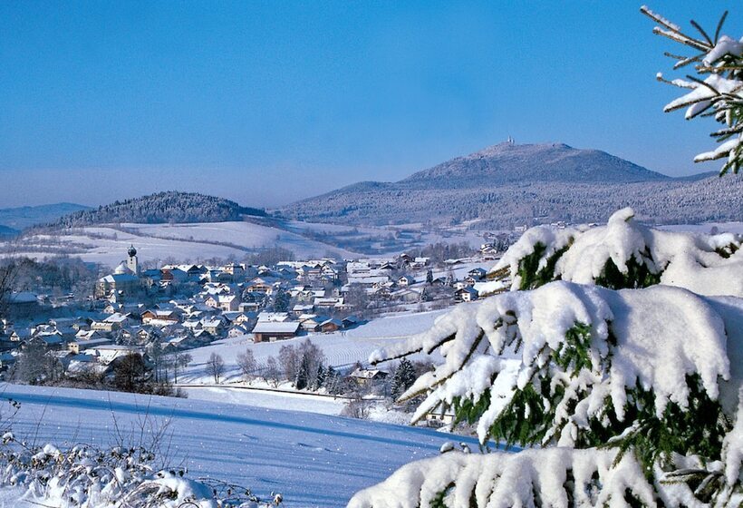 Пансион Bayerische Gastwirtschaft Dimpfl Stadl