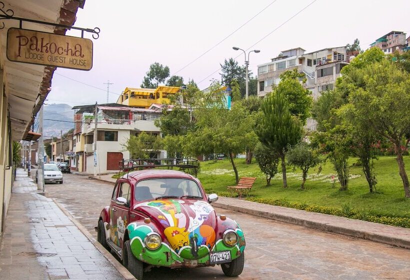 פנסיון Pakocha House & Lodging