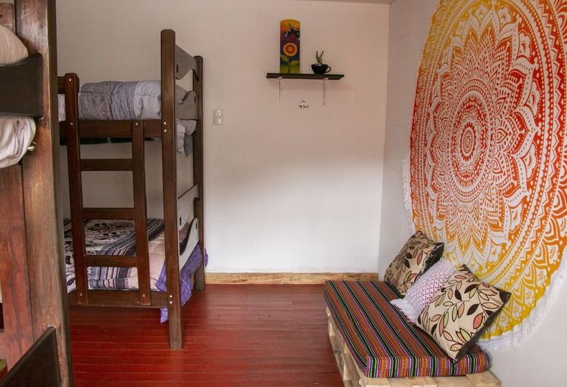 פנסיון Pakocha House & Lodging