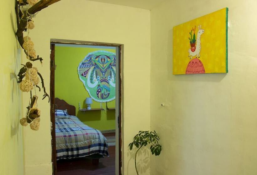 פנסיון Pakocha House & Lodging