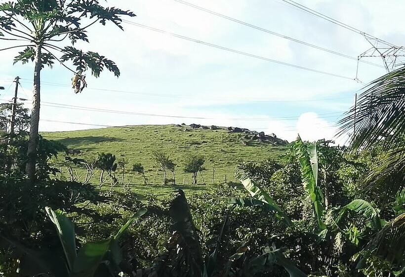 膳宿费 Pedacito De Cielo Guest House