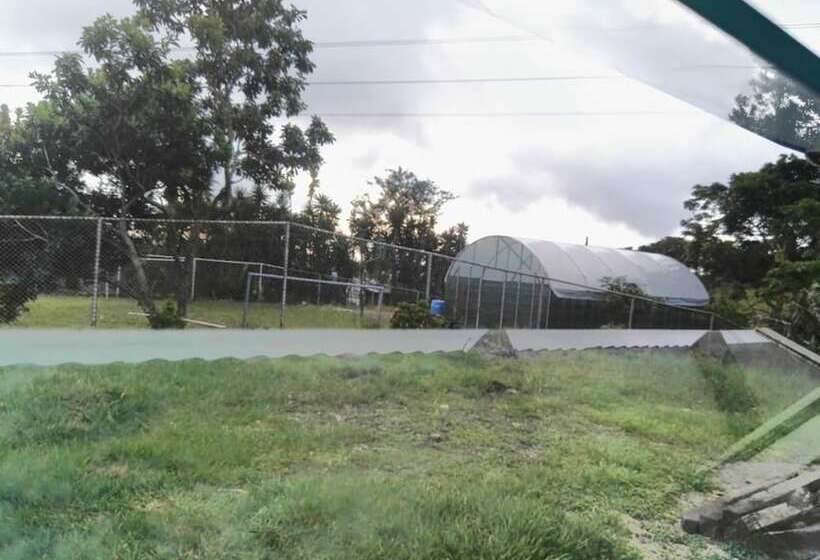 膳宿费 Pedacito De Cielo Guest House