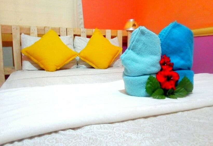 פנסיון Sloth House