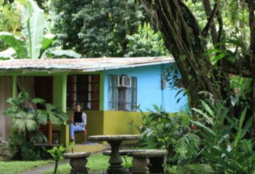 פנסיון Sloth House