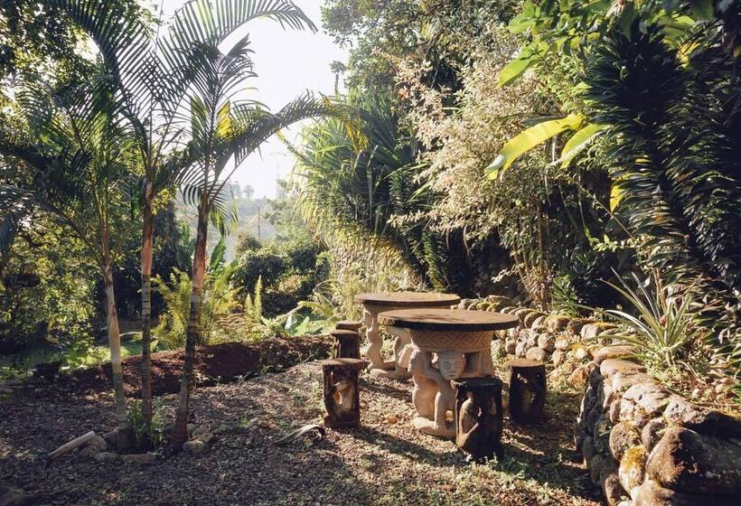 Spanish By The River Turrialba Hostel