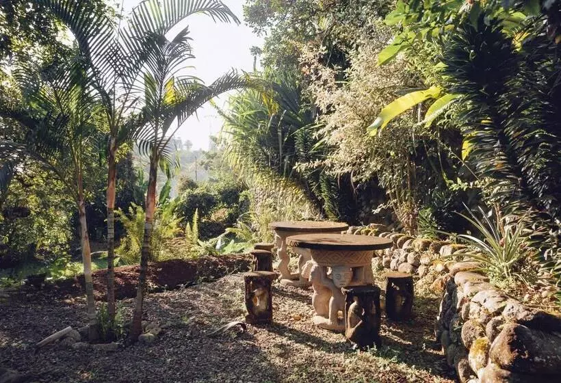 Spanish By The River   Turrialba   Hostel