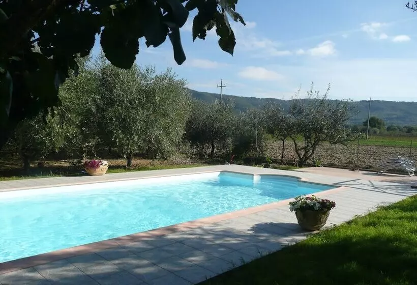 צימר Al Giardino Degli Ulivi