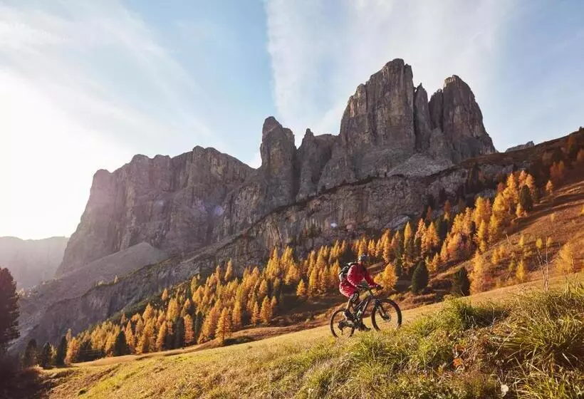 Chalet Elisabeth Dolomites Alpin & Charme