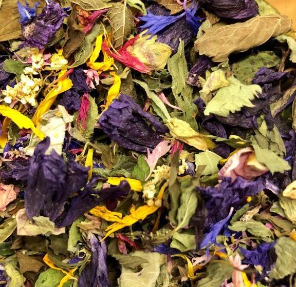 Chalet Elisabeth Dolomites Alpin & Charme