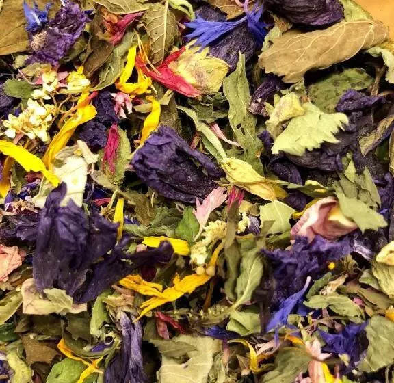 Chalet Elisabeth Dolomites Alpin & Charme