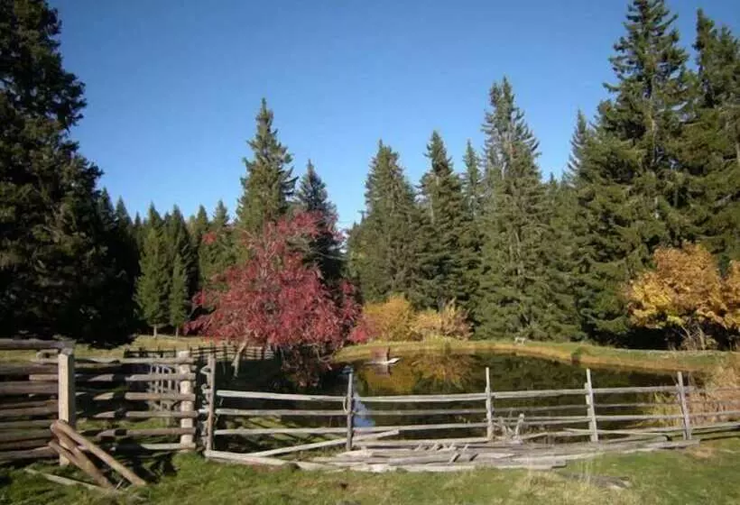 Отель Albergo Pozzole