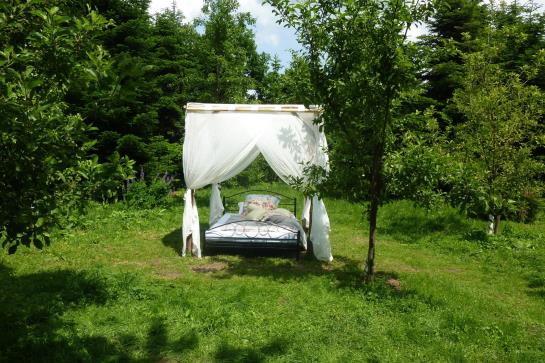 酒店 Ferienhof Werner