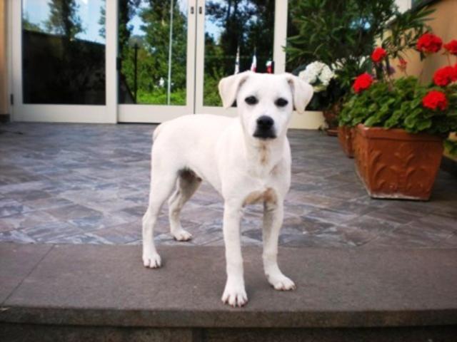 Отель Florida Tirrenia