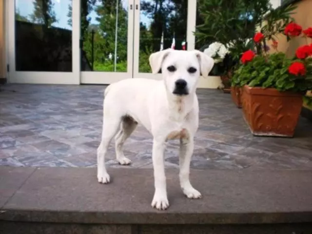 酒店 Florida Tirrenia