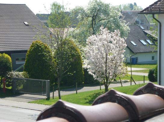Hotel Garni Am Lindenplatz