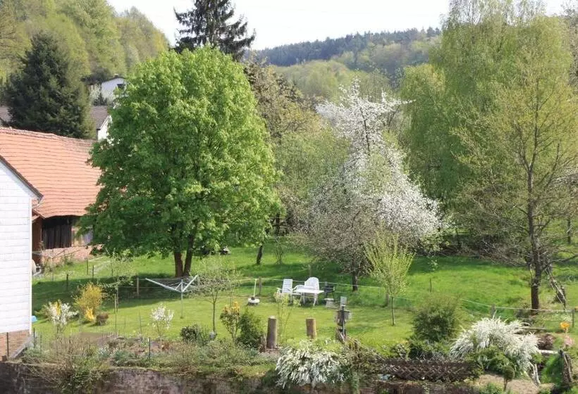 Отель Gasthof Zur Traube