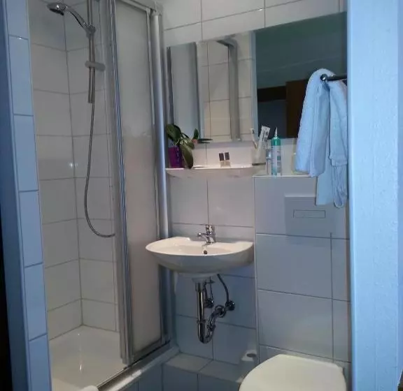 בית מלון כפרי Koch Maingau