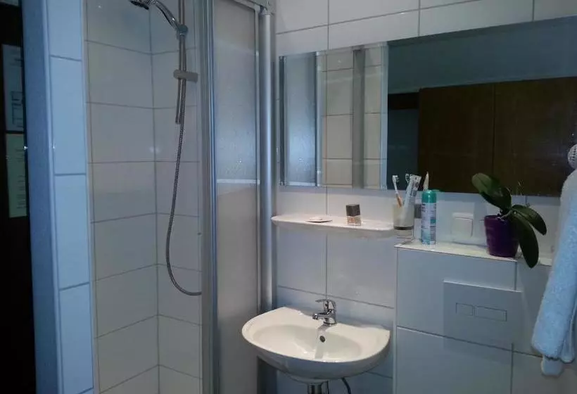 בית מלון כפרי Koch Maingau