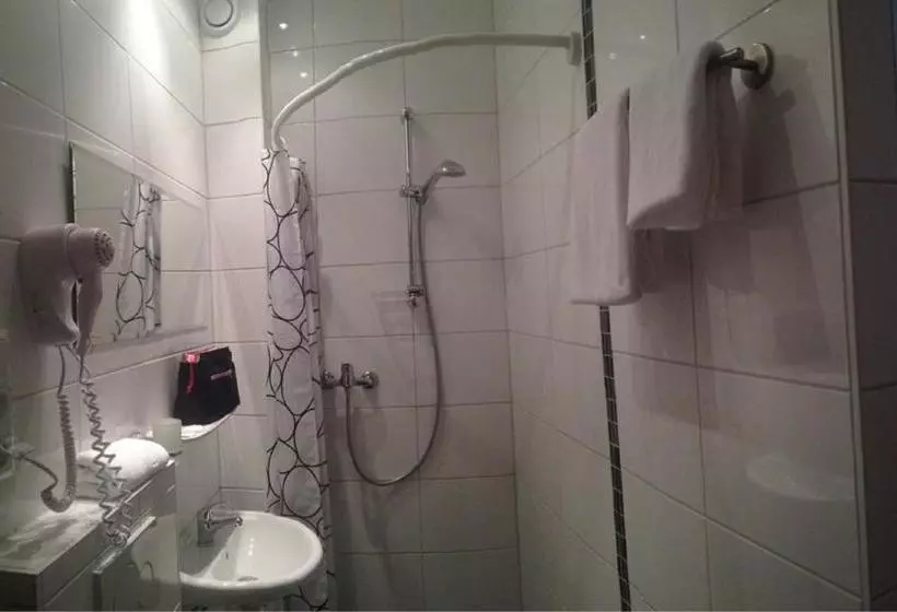 בית מלון כפרי Koch Maingau