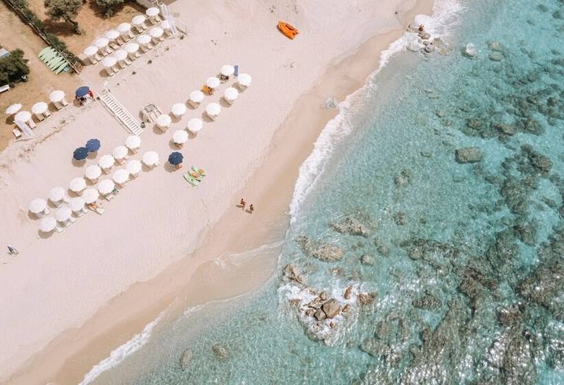 Hotel Tuisuneo La Conchiglia   Adults Only