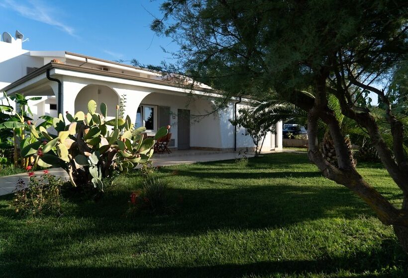 Hotel Tuisuneo La Conchiglia   Adults Only